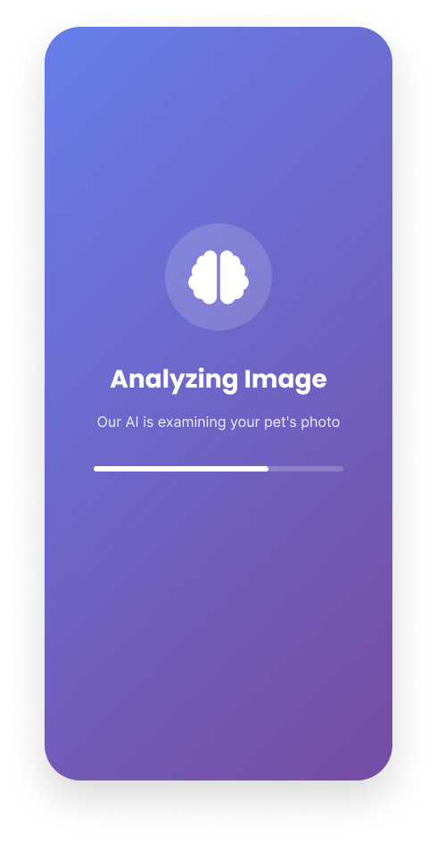 PetSense Camera Screen
