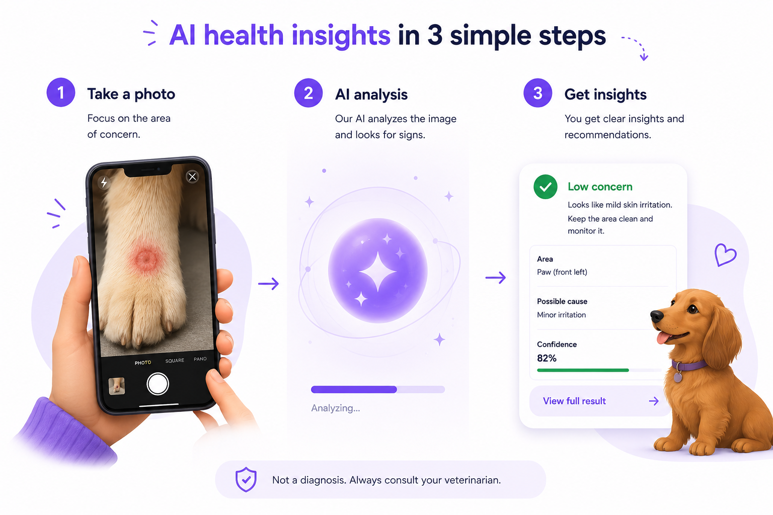 AI health insights in three steps: take a photo, AI analysis, and get preliminary recommendations